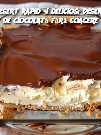 Desert rapid și delicios: Desert de ciocolată fără coacere