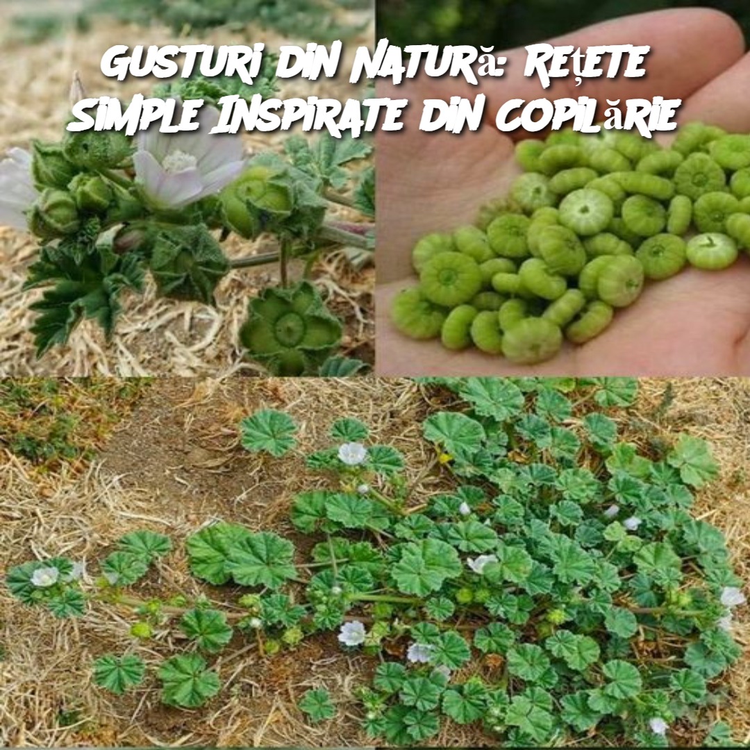 Gusturi din Natură: Rețete Simple Inspirate din Copilărie