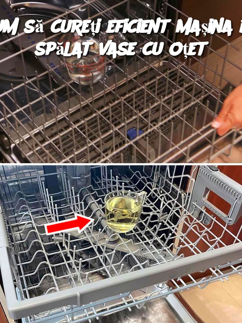 Cum să cureți eficient mașina de spălat vase cu oțet