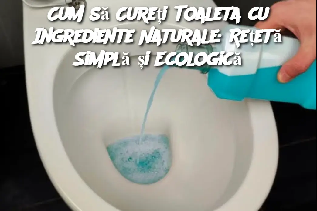 Cum să Cureți Toaleta cu Ingrediente Naturale: Rețetă Simplă și Ecologică