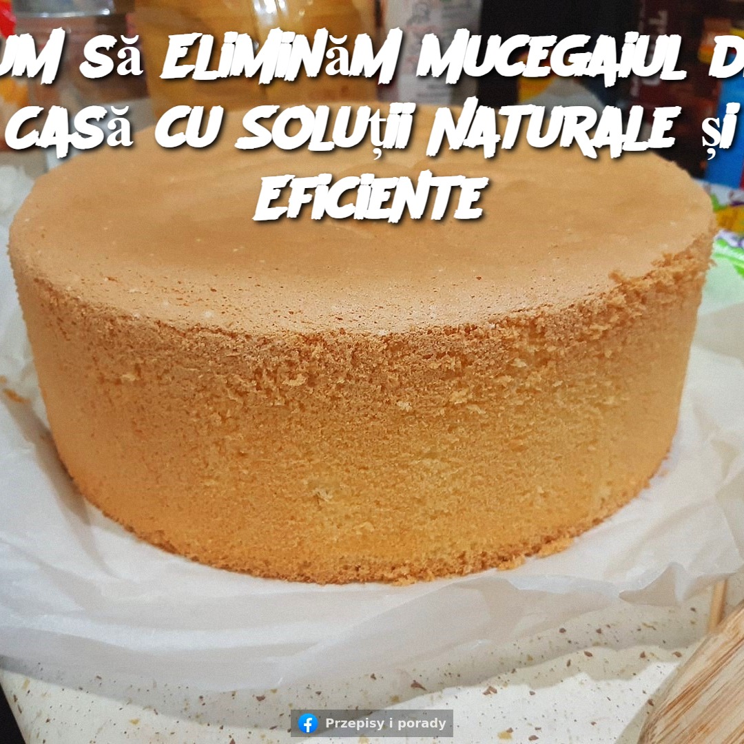 Cum să Eliminăm Mucegaiul din Casă cu Soluții Naturale și Eficiente