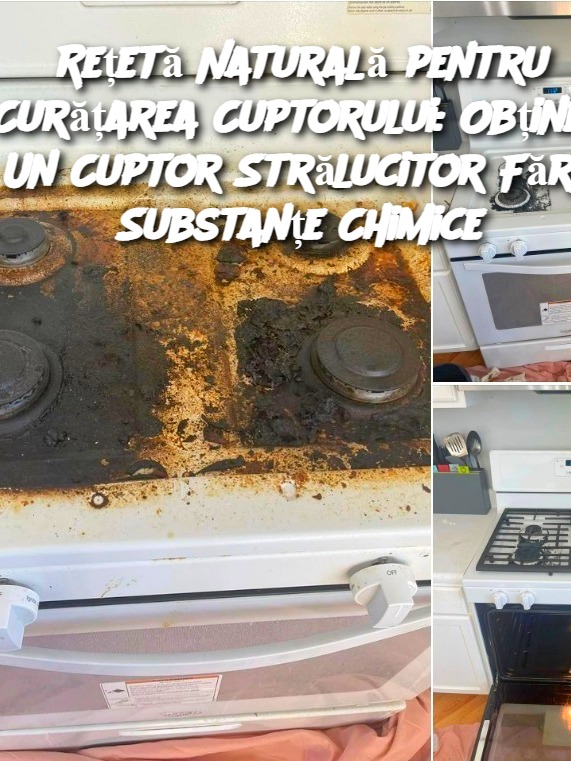 Rețetă Naturală pentru Curățarea Cuptorului: Obțineți Un Cuptor Strălucitor Fără Substanțe Chimice