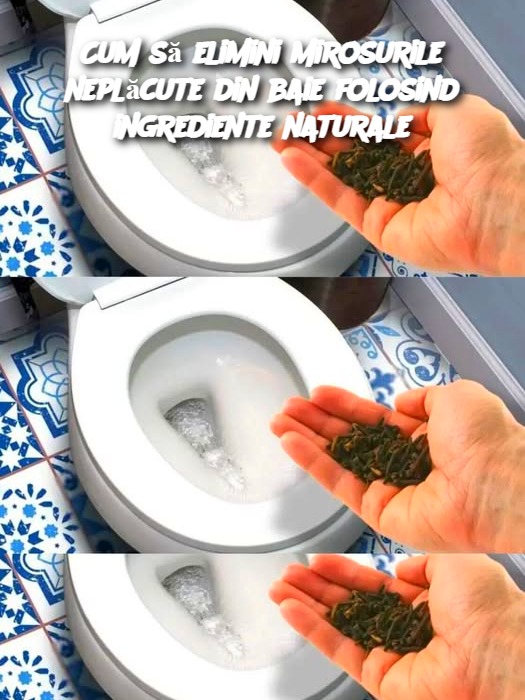 Cum să elimini mirosurile neplăcute din baie folosind ingrediente naturale