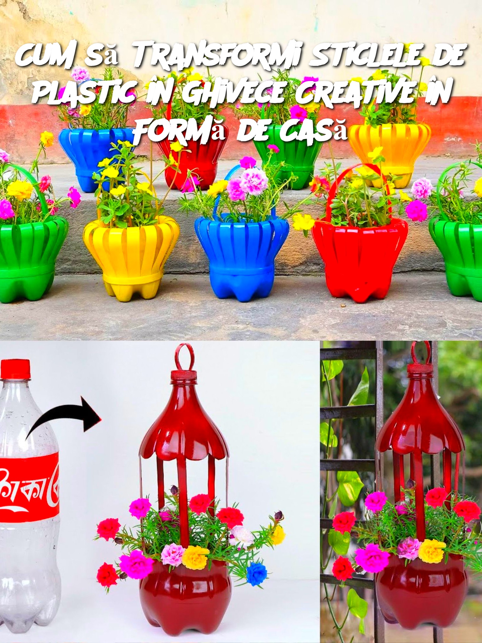 Cum să Transformi Sticlele de Plastic în Ghivece Creative în Formă de Casă