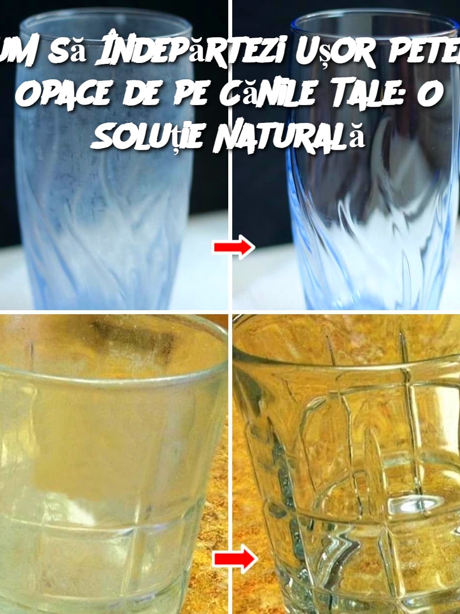 Cum să Îndepărtezi Ușor Petele Opace de pe Cănile Tale: O Soluție Naturală