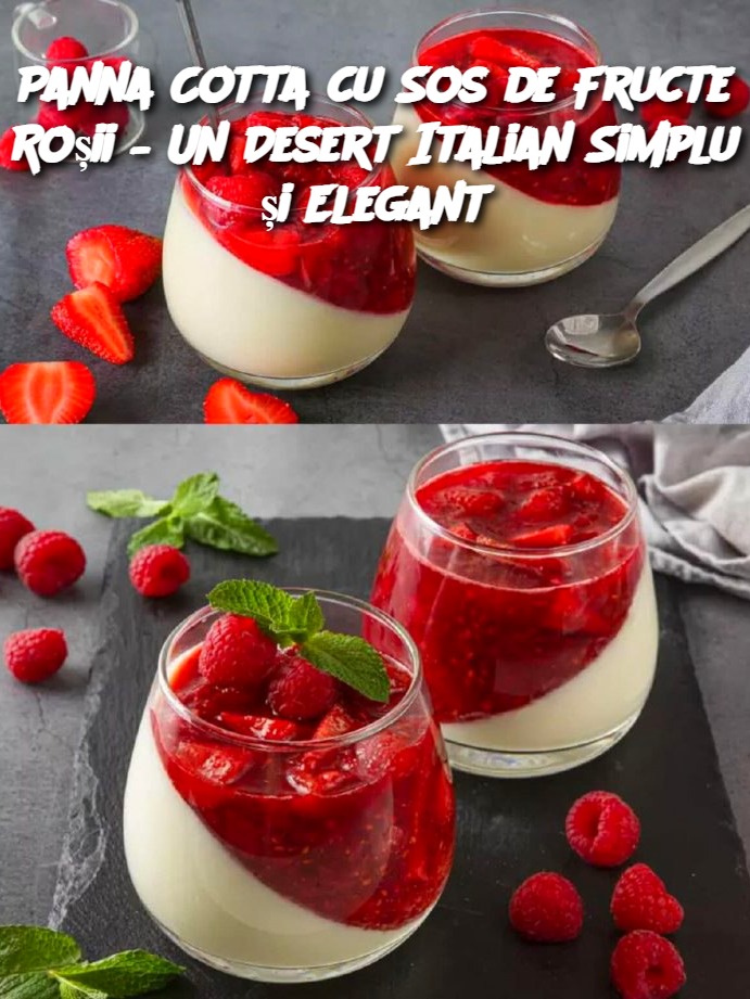 Panna Cotta cu Sos de Fructe Roșii – Un Desert Italian Simplu și Elegant