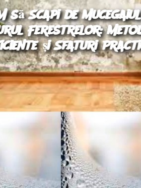 Cum să Scapi de Mucegaiul din Jurul Ferestrelor: Metode Eficiente și Sfaturi Practice