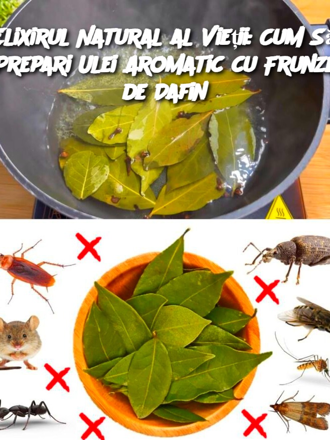 Elixirul Natural al Vieții: Cum Să Prepari Ulei Aromatic cu Frunze de Dafin