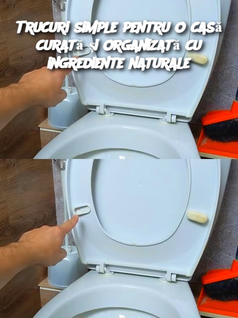 Trucuri simple pentru o casă curată și organizată cu ingrediente naturale