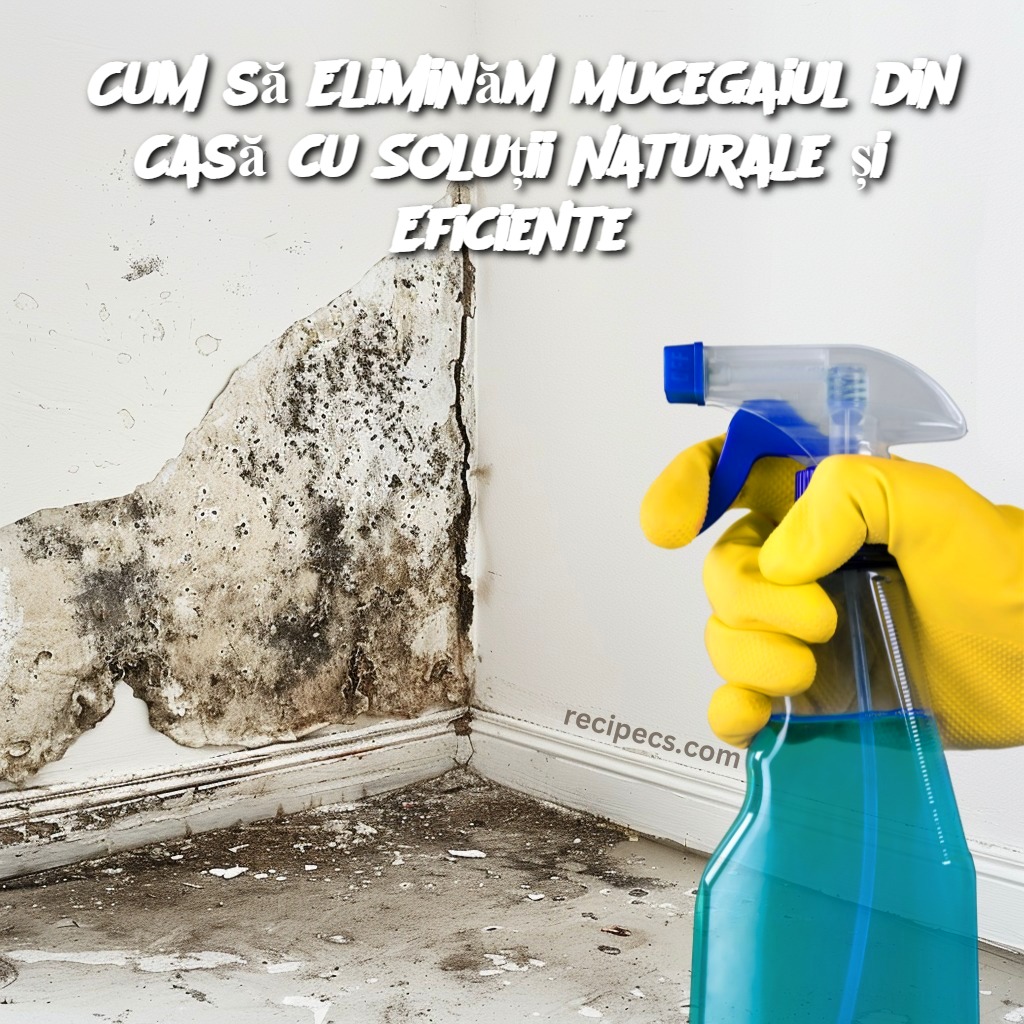 Cum să Eliminăm Mucegaiul din Casă cu Soluții Naturale și Eficiente